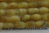 CTE1515 15.5 inches 6*10mm rice golden tiger eye beads wholesale