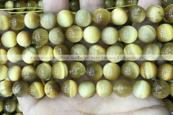 CTE2010 15.5 inches 10mm round golden tiger eye beads wholesale