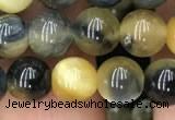 CTE2016 15.5 inches 8mm round golden & blue tiger eye beads wholesale