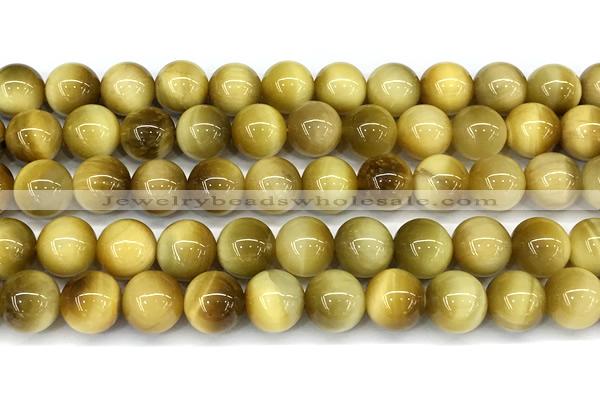 CTE2384 15 inches 10mm round golden tiger eye beads