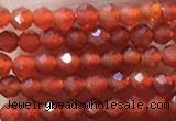 CTG1004 15.5 inches 2mm faceted round tiny red agate beads