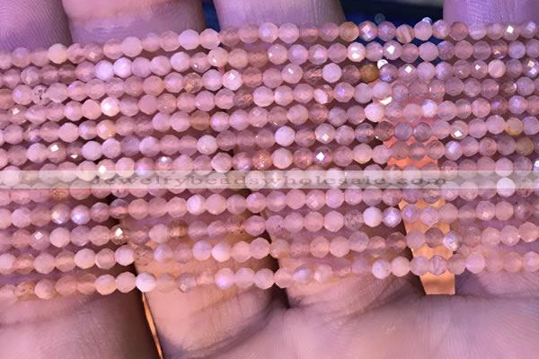 CTG1029 15.5 inches 2mm faceted round tiny moonstone beads