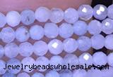 CTG1043 15.5 inches 2mm faceted round tiny aquamarine beads