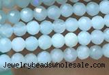 CTG1049 15.5 inches 2mm faceted round tiny amazonite beads