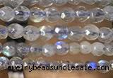 CTG1078 15.5 inches 2mm faceted round tiny labradorite beads