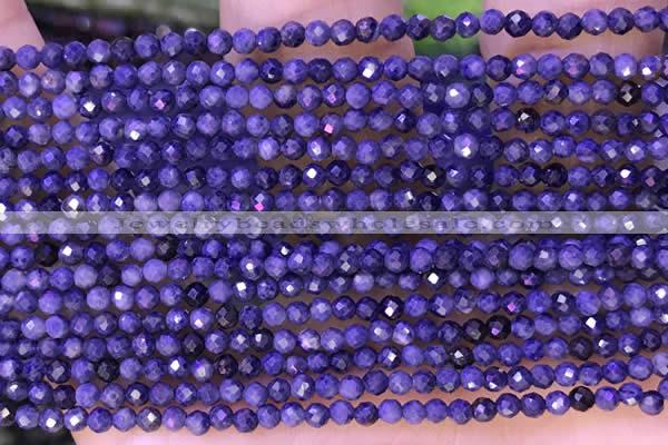 CTG1333 15.5 inches 2mm faceted round sapphire beads wholesale