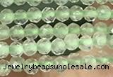 CTG1346 15.5 inches 2mm faceted round prehnite beads wholesale