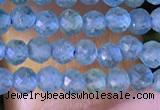 CTG1380 15.5 inches 2mm faceted round tiny apatite beads