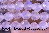 CTG1394 15.5 inches 4mm faceted round tiny white moonstone beads