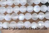 CTG1401 15.5 inches 2mm faceted round white moonstone beads wholesale