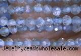 CTG1416 15.5 inches 2mm faceted round apatite beads wholesale