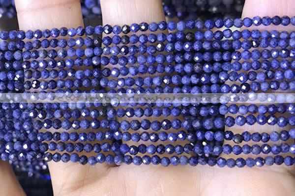 CTG1448 15.5 inches 2mm faceted round sapphire beads wholesale