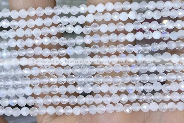 CTG1482 15.5 inches 3mm faceted round white moonstone beads