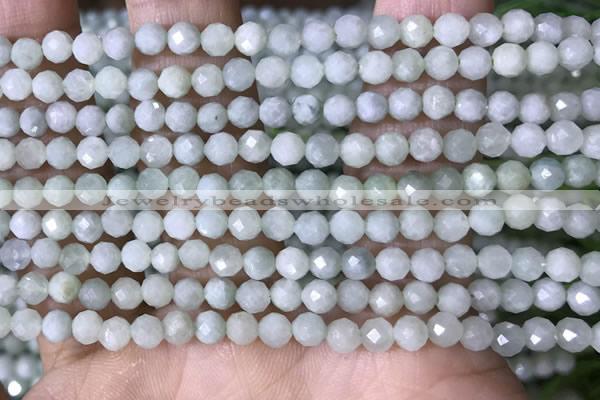 CTG1554 15.5 inches 4mm faceted round jade beads wholesale