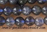 CTG1591 15.5 inches 4mm round iolite gemstone beads wholesale