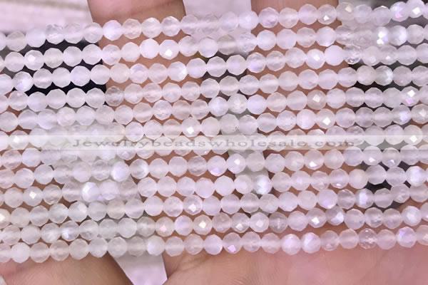 CTG1601 15.5 inches 3mm faceted round tiny white moonstone beads