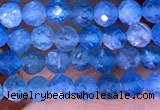 CTG1613 15.5 inches 3mm faceted round tiny apatite beads