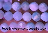 CTG1626 15.5 inches 3.5mm faceted round tiny amazonite beads