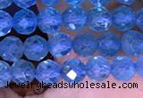 CTG1663 15.5 inches 3.5mm faceted round tiny apatite beads