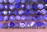 CTG1665 15.5 inches 2mm faceted round tiny sodalite beads