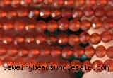 CTG2121 15 inches 2mm,3mm faceted round red agate gemstone beads