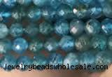 CTG2130 15 inches 2mm,3mm faceted round apatite gemstone beads