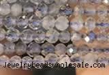 CTG2133 15 inches 2mm,3mm faceted round labradorite gemstone beads