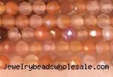 CTG2142 15 inches 2mm,3mm faceted round golden sunstone beads