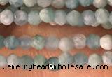 CTG2154 15 inches 2mm,3mm faceted round amazonite gemstone beads