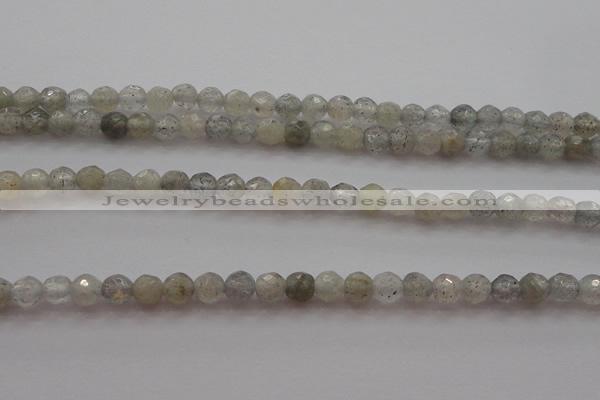 CTG217 15.5 inches 3mm faceted round tiny labradorite beads