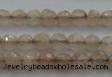 CTG218 15.5 inches 3mm faceted round tiny moonstone beads