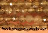 CTG2208 15 inches 2mm,3mm faceted round labradorite gemstone beads