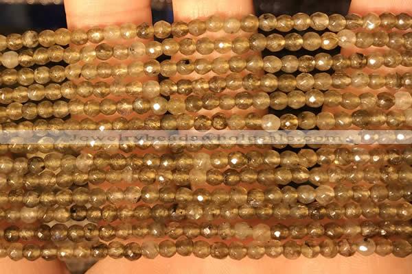 CTG2208 15 inches 2mm,3mm faceted round labradorite gemstone beads