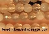 CTG2209 15 inches 2mm,3mm faceted round botswana agate beads