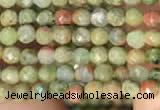 CTG2214 15 inches 2mm,3mm faceted round unakite gemstone beads