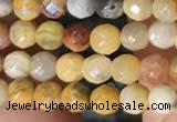 CTG2219 15 inches 2mm,3mm faceted round crazy lace agate beads