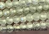 CTG2246 15 inches 2mm faceted round natural prehnite beads