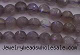 CTG509 15.5 inches 4mm faceted round tiny labradorite beads