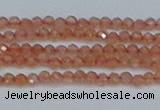 CTG609 15.5 inches 2mm faceted round golden sunstone beads