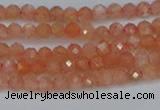 CTG610 15.5 inches 3mm faceted round golden sunstone beads