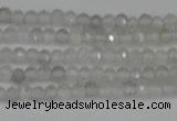 CTG612 15.5 inches 2mm faceted round labradorite beads