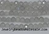 CTG613 15.5 inches 3mm faceted round labradorite beads