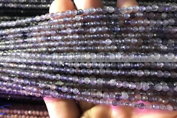 CTG751 15.5 inches 3mm faceted round tiny iolite beads wholesale