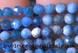 CTG760 15.5 inches 3mm faceted round tiny apatite gemstone beads