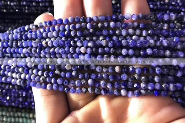 CTG779 15.5 inches 3mm faceted round tiny sodalite beads wholesale