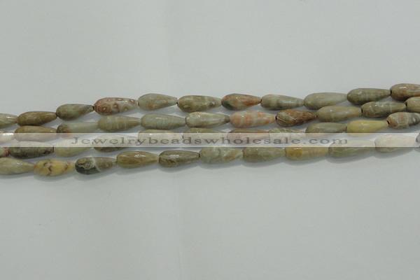 CTR81 15.5 inches 6*16mm faceted teardrop chrysanthemum agate beads