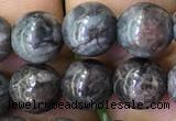 CTU3036 15.5 inches 6mm round South African turquoise beads