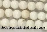 CWB800 15.5 inches 4mm round white howlite turquoise beads