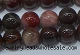 CWJ503 15.5 inches 10mm round Xinjiang wood jasper beads wholesale