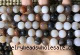 CWJ571 15.5 inches 10mm round Arizona petrified wood jasper beads